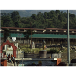 Chamunda Devi Temple - Kangra