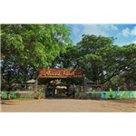 Anand Resort - Virar - Palghar