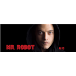 Mr. Robot