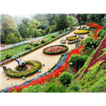 Rose Garden - Chandigarh