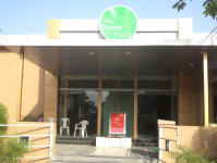 The Green Pearl Restaurant - Bodakdev - Ahmedabad