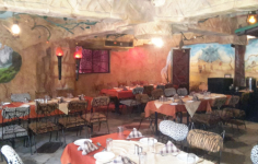 The Jungle Bhookh - Ellis Bridge - Ahmedabad