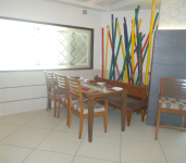 May Flower - Ellis Bridge - Ahmedabad