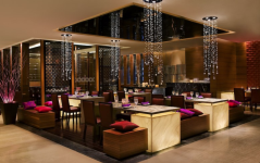 Shakahari - Courtyard By Marriott - Satellite - Ahmedabad