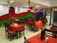 Panda Wokk - Sector 18 - Noida