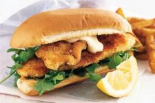 Owlcity - Sector 19 - Noida