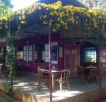 Pelican Pub - Jayalakhsmipuram - Mysore