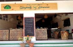 Depth n Green - Gokulam - Mysore