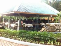 Olive Garden - Ittige Gudu - Mysore