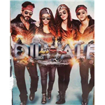 Dilwale (2015)