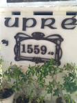 Upre by 1559 AD - Pichola - Udaipur