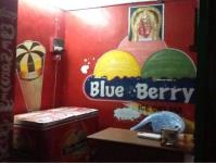 Blue Berry Ice Cream - Madhavadhara - Visakhapatnam