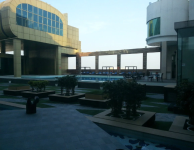 Peg Bar - Radisson Blu Hotel - Rajguru Nagar - Ludhiana