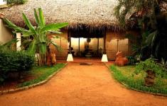 Arca Nova - Fort Kochi - Kochi