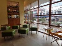 Cocoa Tree - The Avenue Regent - M G Road - Kochi