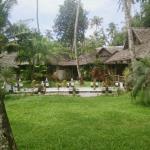 Les 3 Elephants - Vypin - Kochi