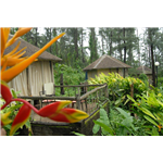 Exotica The Beach Resort - Dive Agar