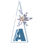 Avalon Heights International School - Vashi - Navi Mumbai