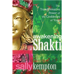 Awakening Shakti - Sally Kempton