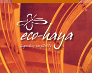 Eco Haya Apartments - Bannerghatta Road - Bangalore