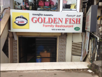 Golden Fish - Kankanady - Mangalore
