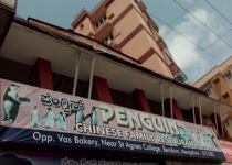 Penguin - Bendoor - Mangalore