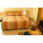 Ajanta Hotel - Ghora Nakkas - Bhopal