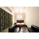 Hotel Rebirth - Daria - Chandigarh