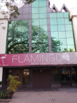 Flamingo - Anna Nagar - Chennai