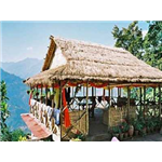 Karmi Farm - Bijanbari - Darjeeling