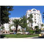 Hotel Majestic - MC Road - Darjeeling