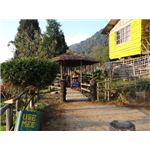 Paradise Villa - Rishyap - Darjeeling