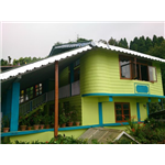 Gurung Guest House - Tinchuley - Darjeeling