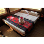 Atithi Niwas - Vijay Nagar - Indore