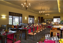 Coriander Leaf - TT Nagar - Bhopal