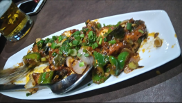 Xtreme Sports Bar - Gulmohar Colony - Bhopal