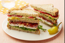 Panino The Sandwich World - Athwa - Surat