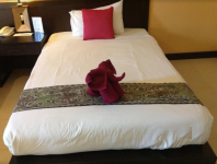 New Lucknow Hotel - Latouche Road - Lucknow