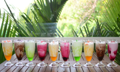 Bird On Tree - Race Course - Coimbatore