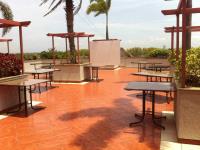 Palms - Town Hall - Coimbatore