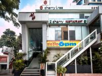 Cherry Tree - New Palasia - Indore