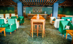 Mocha - YN Road - Indore