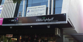 Chlorophyll - YN Road - Indore
