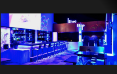 Blue Dip - Vijay Nagar - Indore