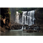 Dandeli