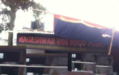 Nageshwar Veg Food Point - Aliganj - Lucknow