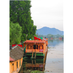 Houseboat Lily of Nageen - Nigeen Lake - Srinagar