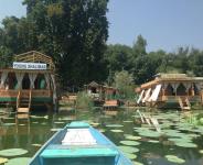 Young Shalimar Houseboat - Nigeen lake - Srinagar