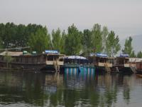 Young Monalisa Houseboat - Dal Lake - Srinagar