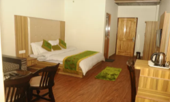 Seven Seas - McLeod Ganj - Dharamshala